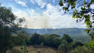 Fuerte incendio forestal se presenta en zona rural de Suárez 1