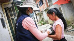 Casi 16.000 vacunas gratuitas contra la rabia se han suministrado en Ibagué 1